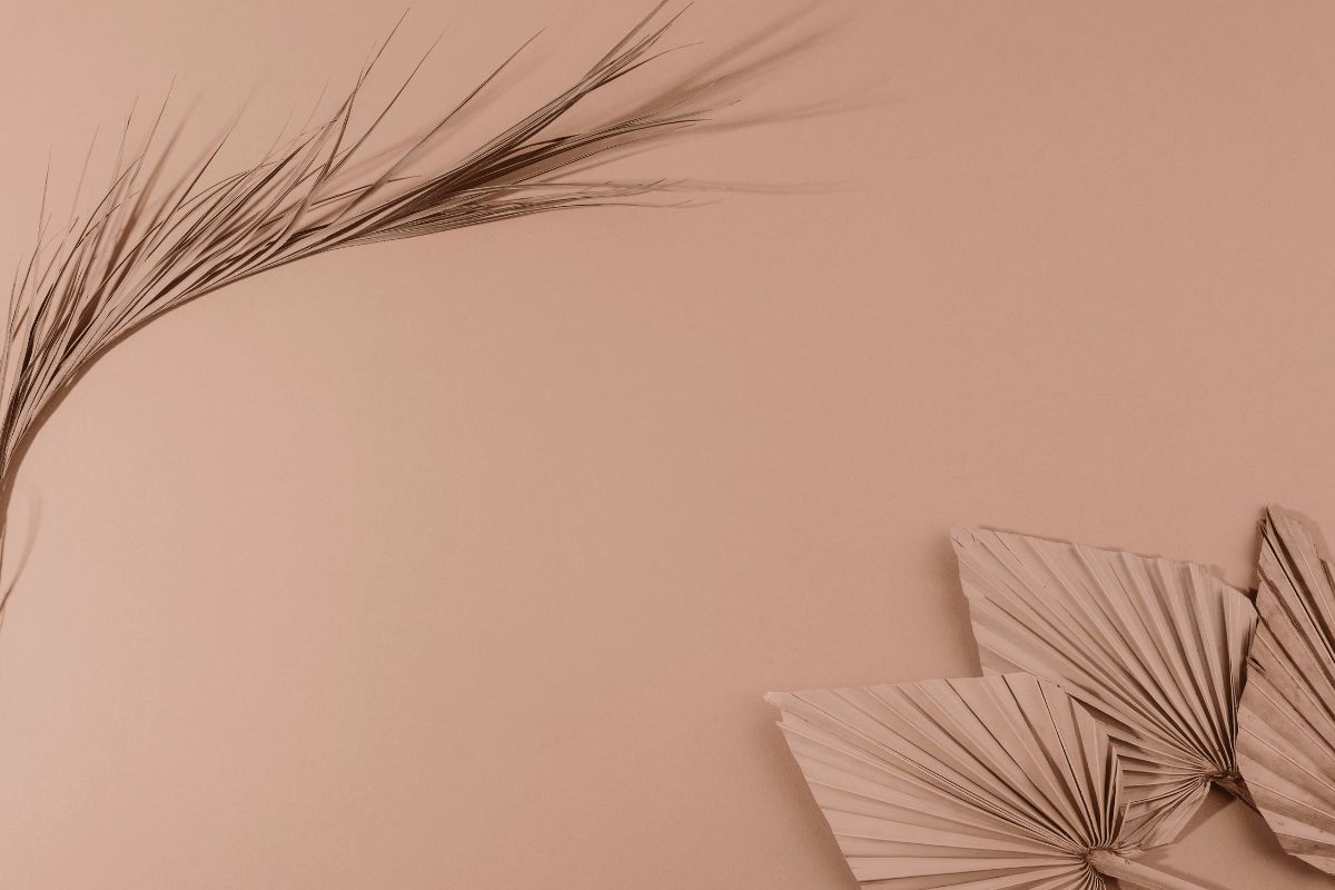 Mocha Mousse pantone 2025